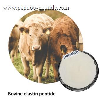 PEPDOO® Bovine Collagen Elastin Pepti...