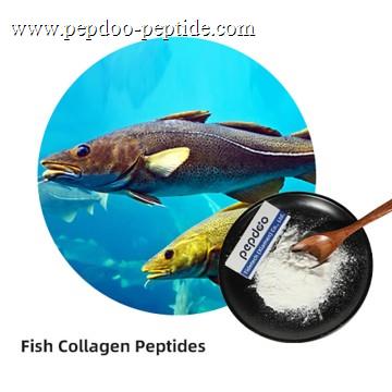 PEPDOO® Type 1 Marine Collagen Peptides