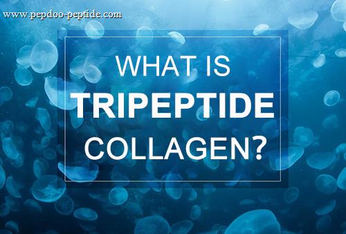 Unveiling the Power of Collagen Tripeptide: What You Need to Know