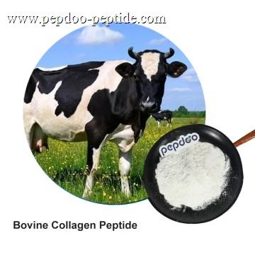 PEPDOO® Bovine Collagen Peptide Powder