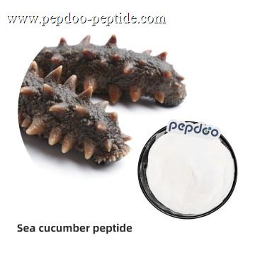 PEPDOO® Sea Cucumber Peptide