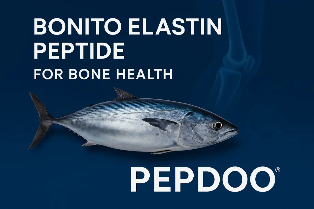 Bonito Elastin Peptide and Bone Health: What You Need to Know